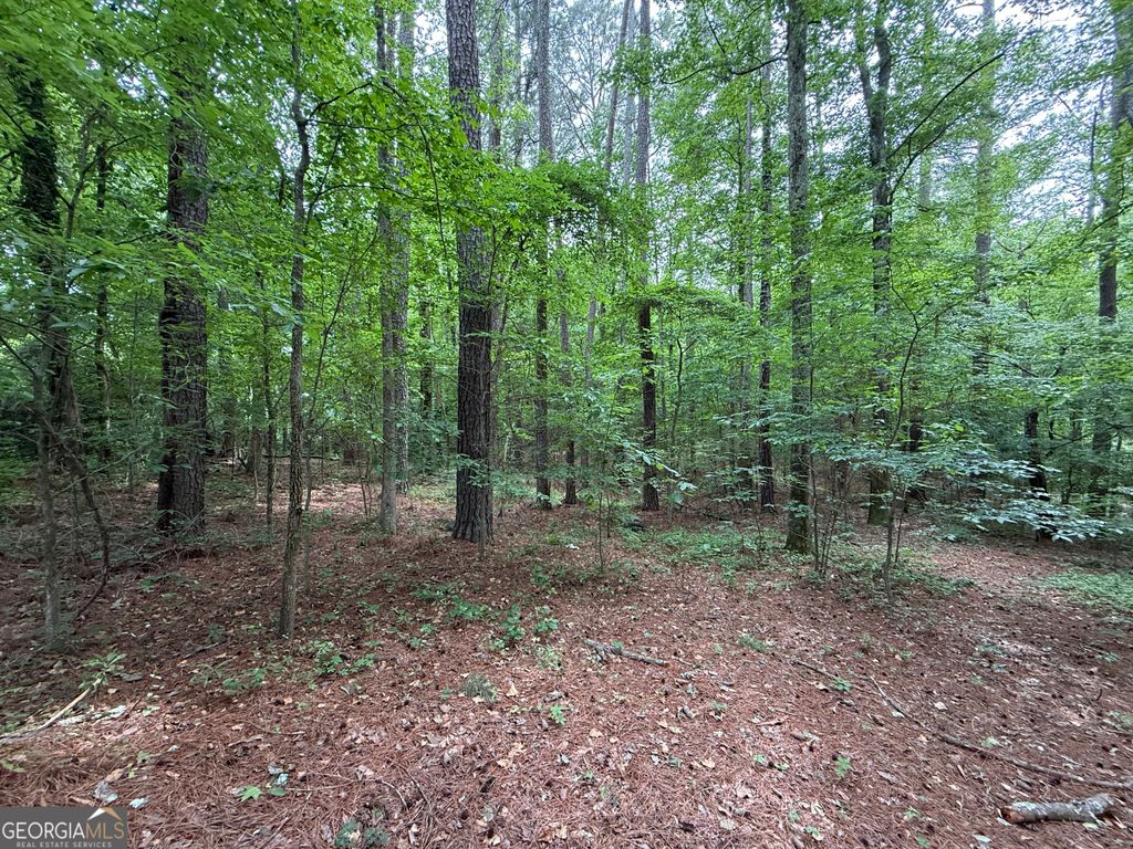 Photo of 0 Bollen Road, Rome, GA 30165 (MLS # 10761300)
