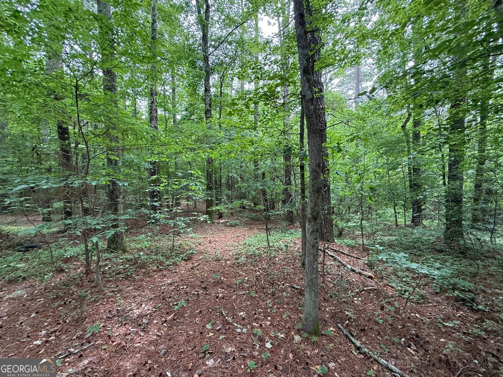 Photo of 0 Bollen Road, Rome, GA 30165 (MLS # 10761300)