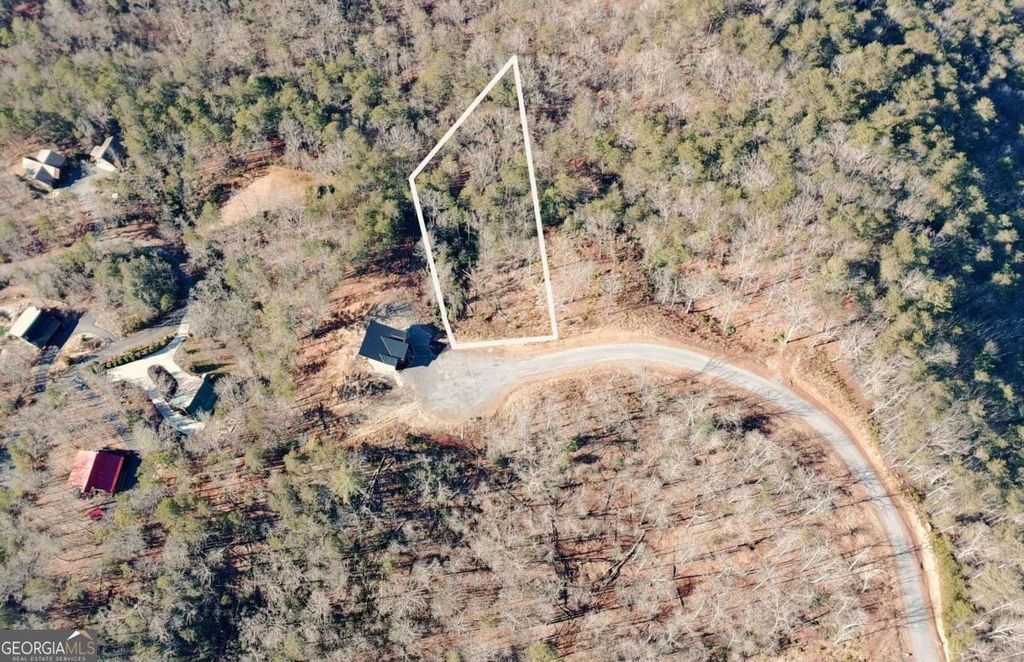 Photo of 53 Mountain Laurel Ridge, Mineral Bluff, GA 30559 (MLS # 10693869)
