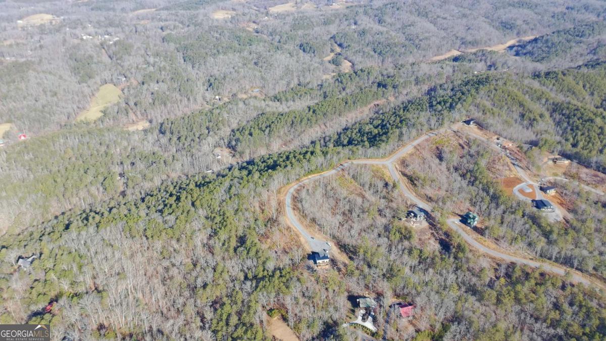 LOT 53 Mountain Laurel RDG