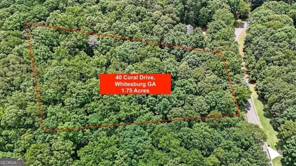 Photo of 40 Coral Drive, Whitesburg, GA 30185 (MLS # 10671755)