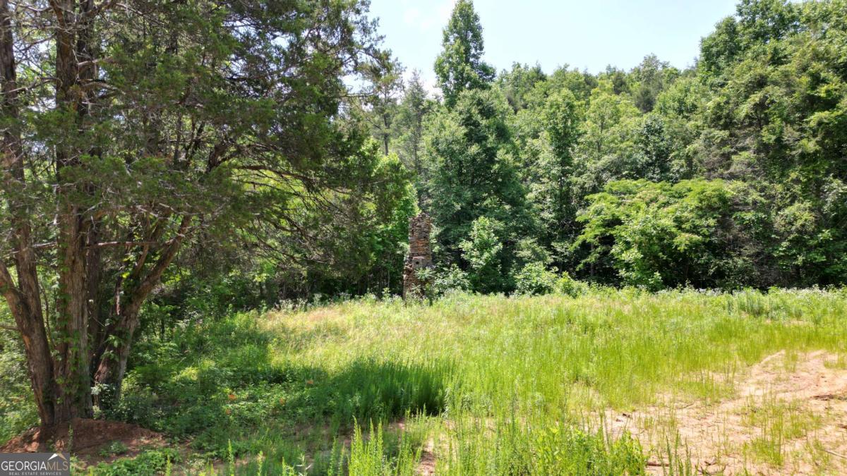 155AC Megan Trace DR