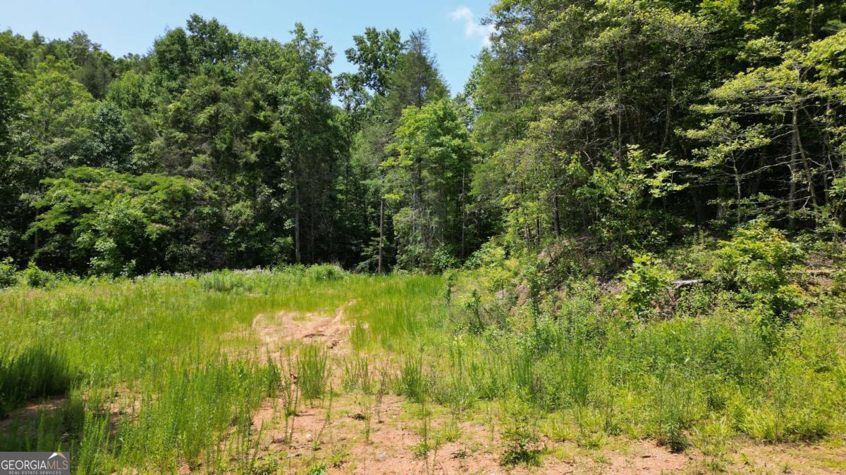 155AC Megan Trace DR
