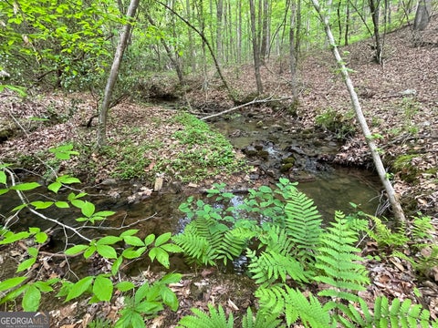 Photo for 0 Everett Springs RD
