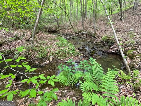 0 Everett Springs RD ARMUCHEE GA 30105