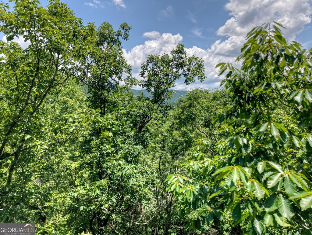 2.55 AC Stover Creek CV