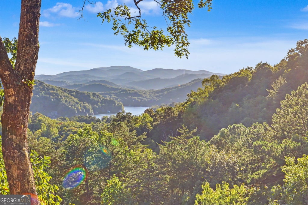Photo of 8734 Highway 76 W, Clayton, GA 30525 (MLS # 10868160)