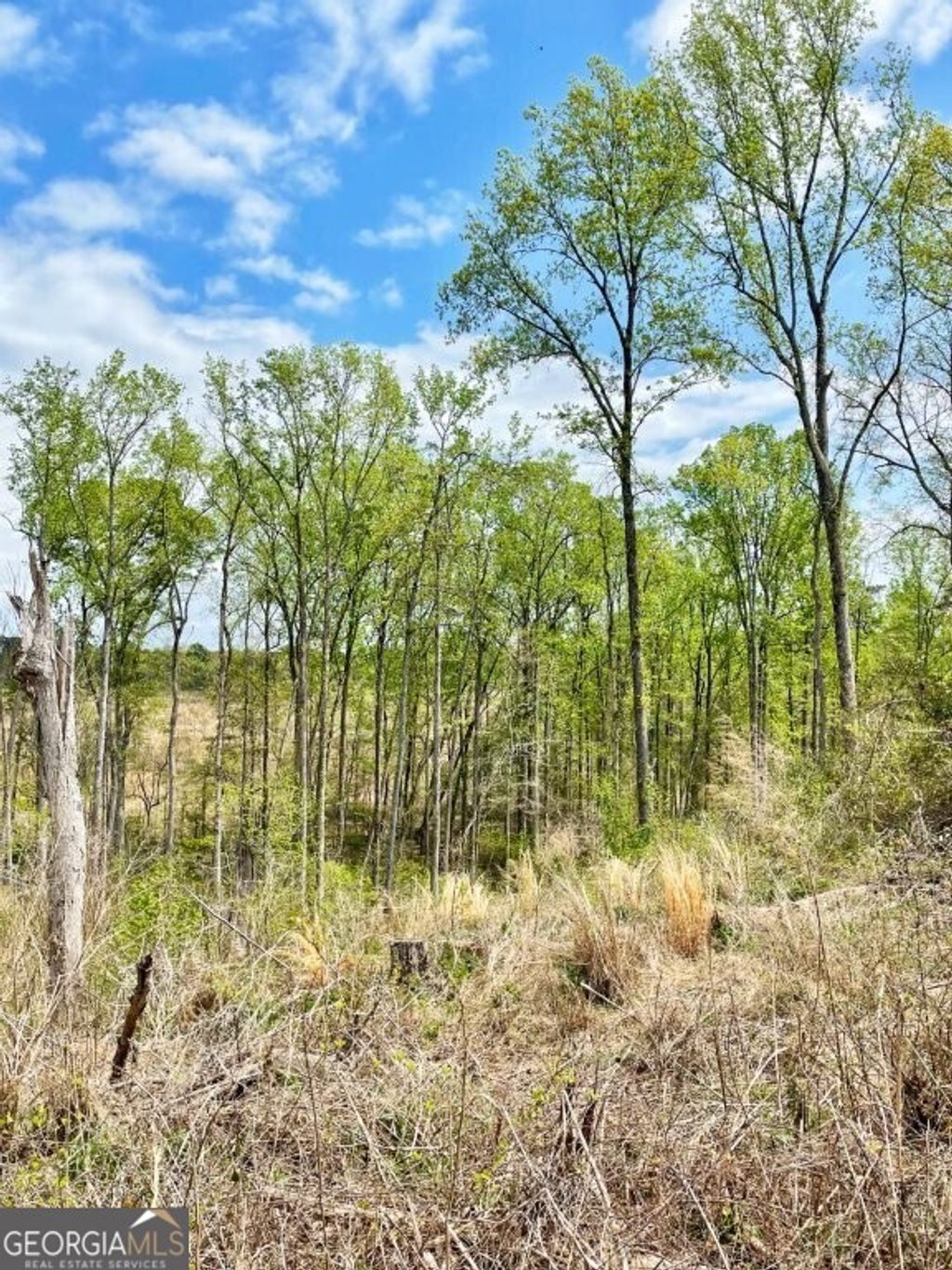 Photo of 0 Fullerton-Phillips &amp; Greer Road, Hillsboro, GA 31038 (MLS # 10721848)