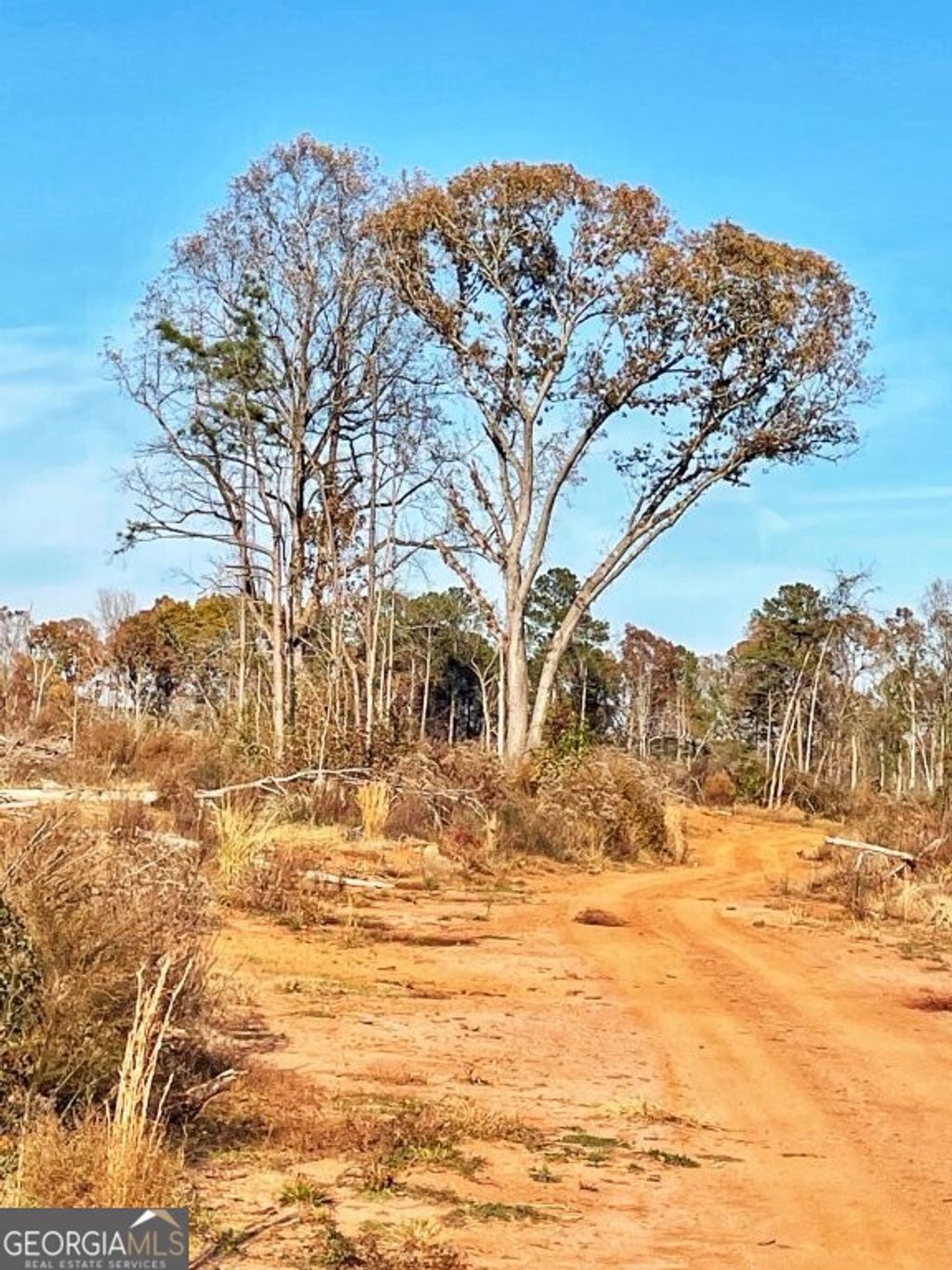 Photo of 0 Fullerton-Phillips &amp; Greer Road, Hillsboro, GA 31038 (MLS # 10721848)