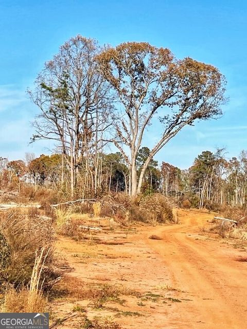 Photo of 0 Fullerton-Phillips & Greer Road, Hillsboro, GA 31038 (MLS # 10721848)