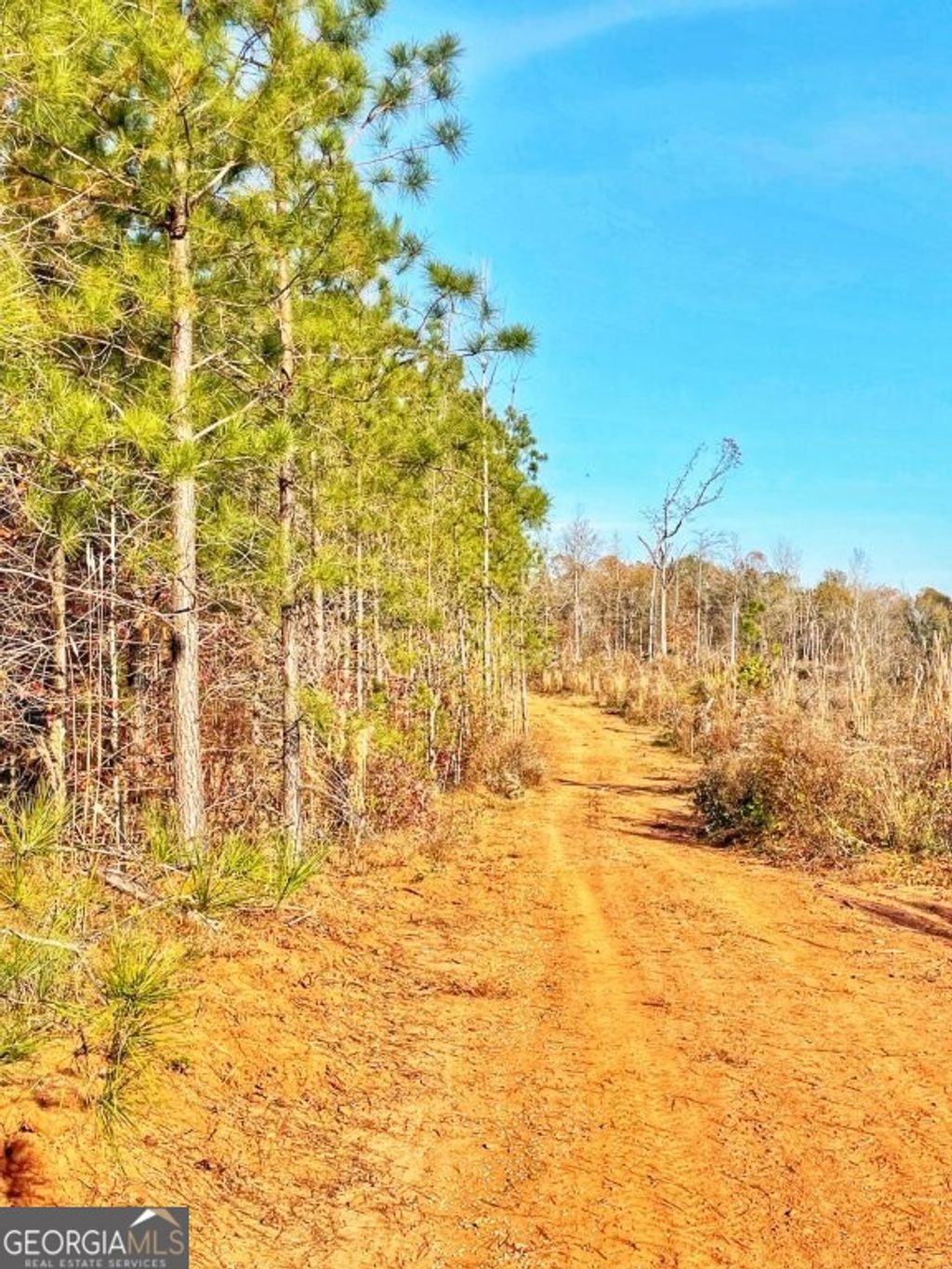 Photo of 0 Fullerton-Phillips &amp; Greer Road, Hillsboro, GA 31038 (MLS # 10721848)