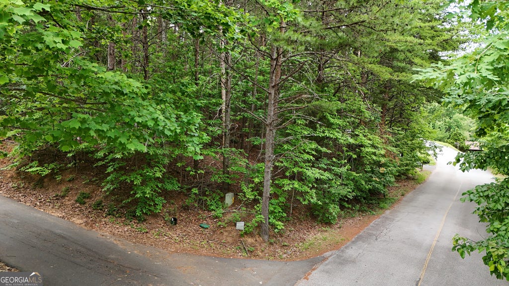 Photo of 2 Starlight Drive, Sautee Nacoochee, GA 30571 (MLS # 10809458)