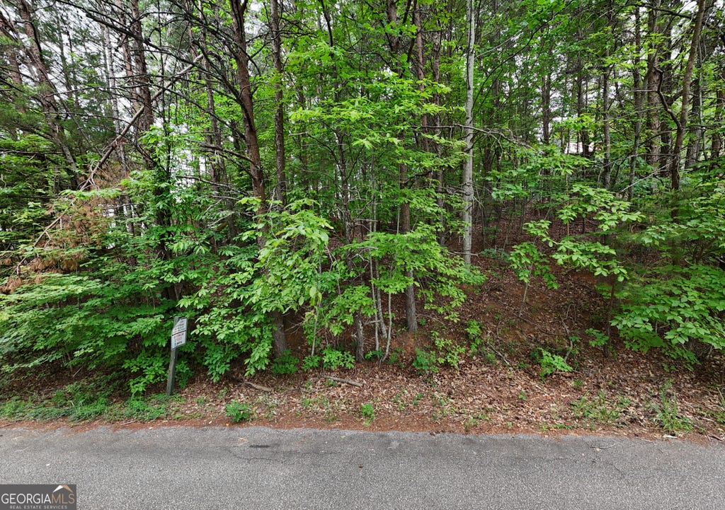 Photo of 2 Starlight Drive, Sautee Nacoochee, GA 30571 (MLS # 10809458)