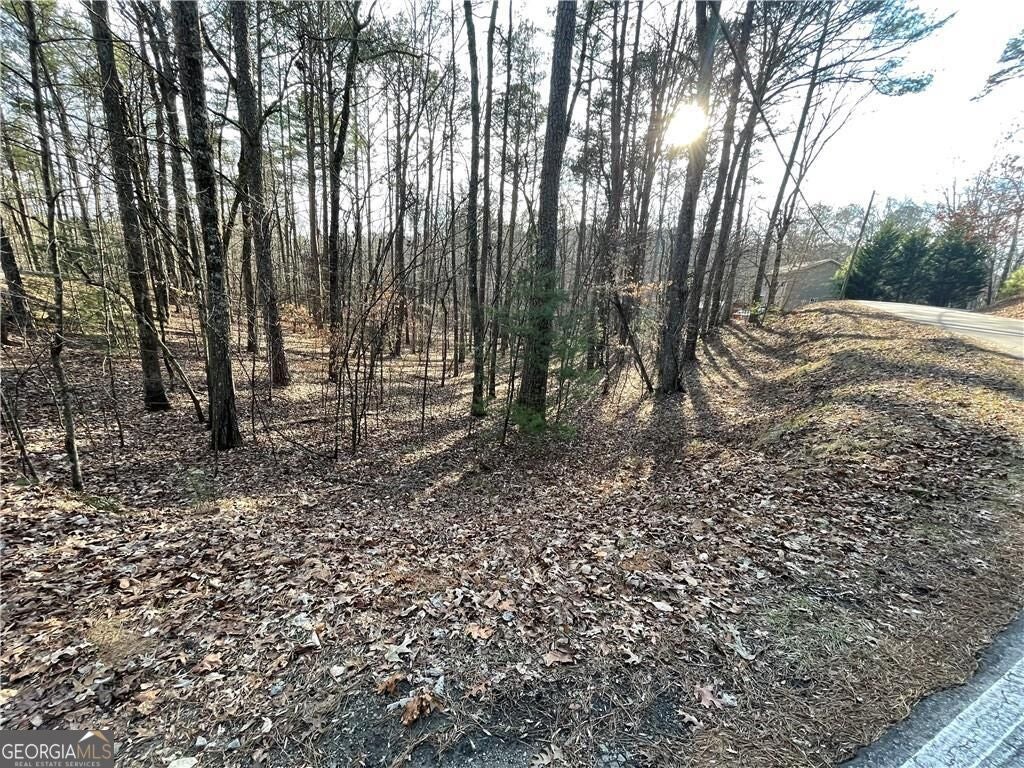 Photo of 397 Lemmon Drive, Ellijay, GA 30540 (MLS # 10878554)