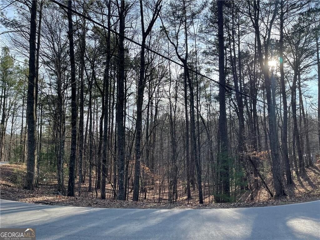 Photo of 397 Lemmon Drive, Ellijay, GA 30540 (MLS # 10878554)