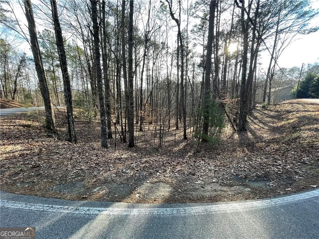 397EM Lemmon DR