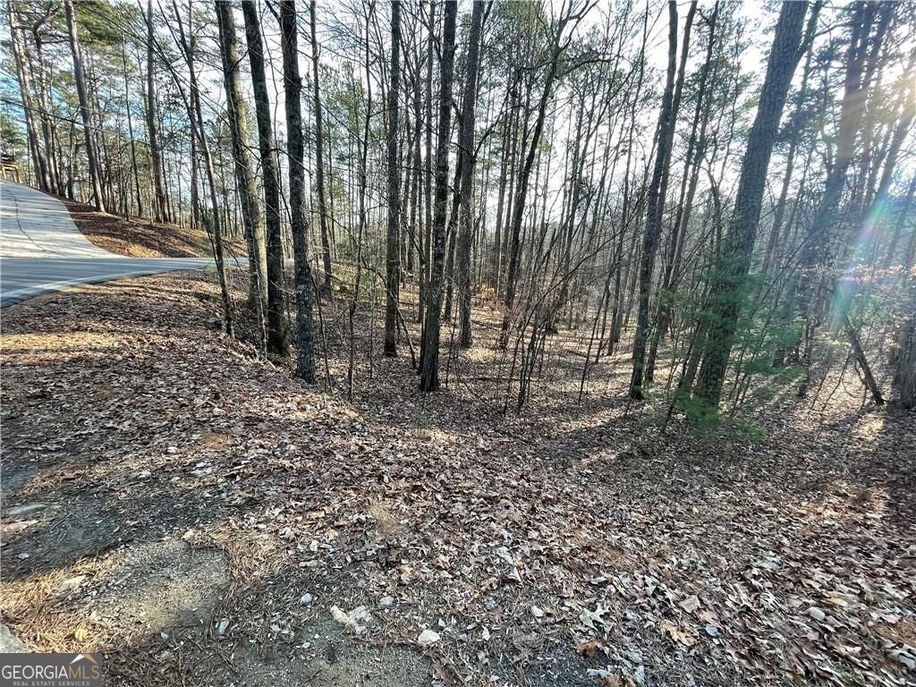 397EM Lemmon DR