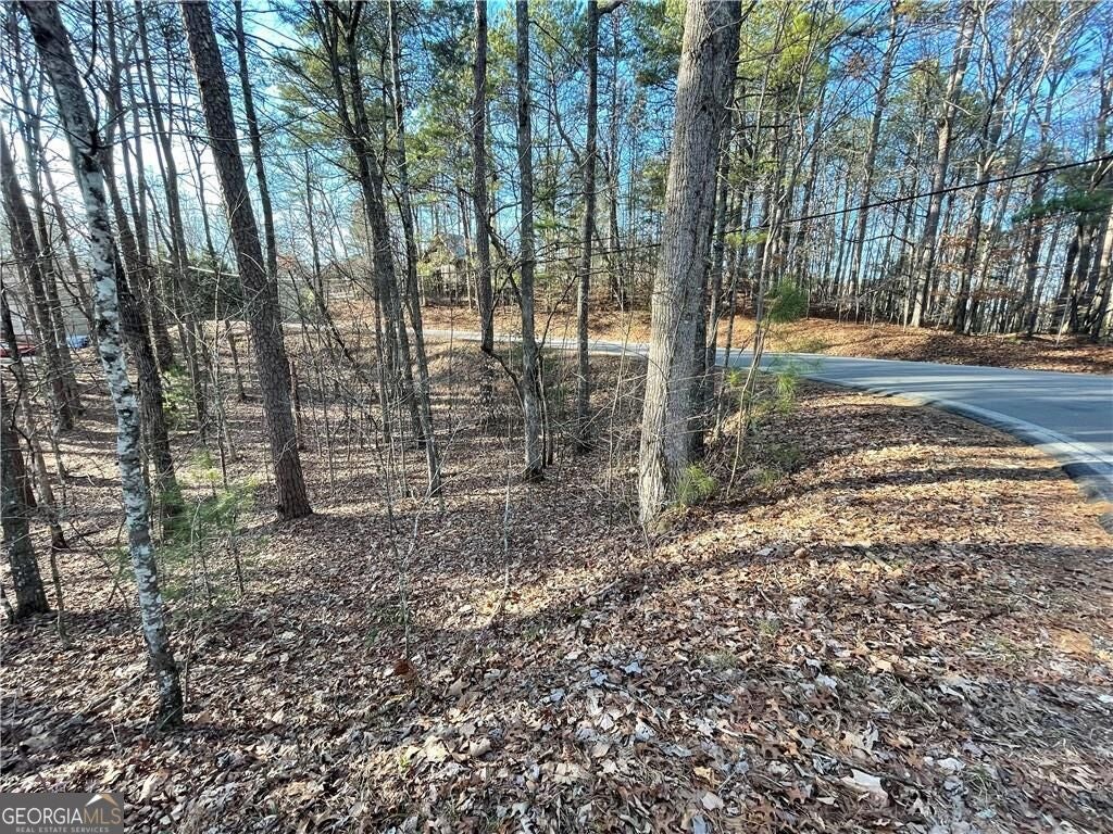 397EM Lemmon DR