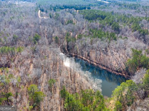 0 Levi Bradbury RD Moreland GA 30259