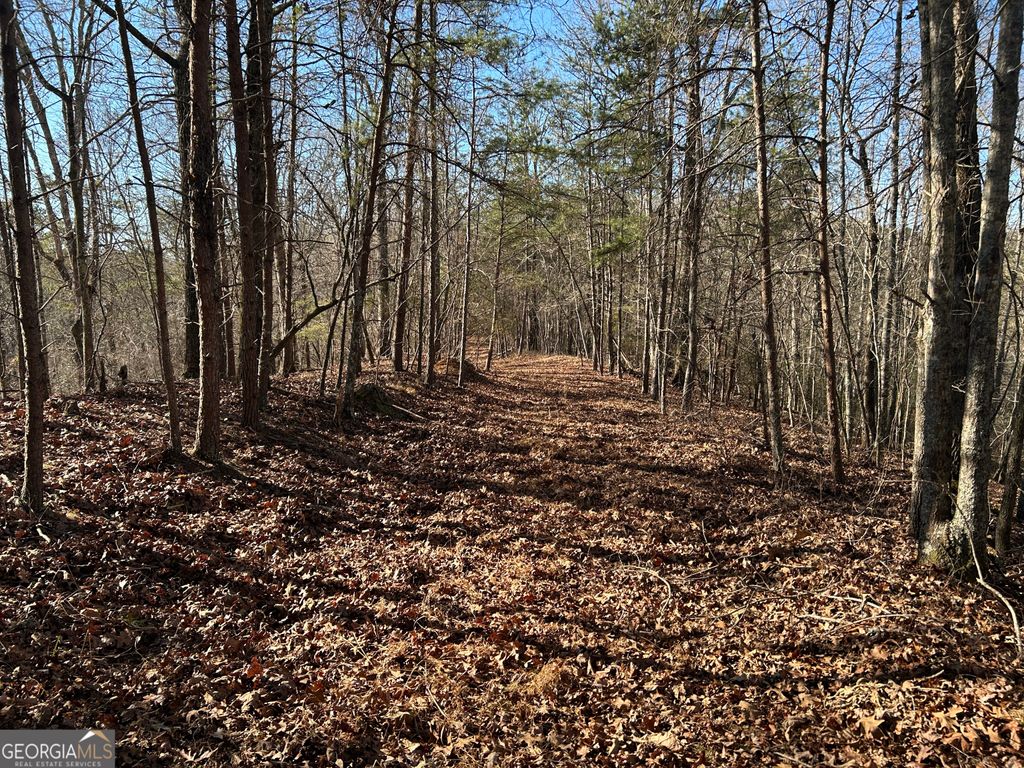 Photo of 00 Twin River Orchard Road #TRACT 1, Demorest, GA 30535 (MLS # 10663772)