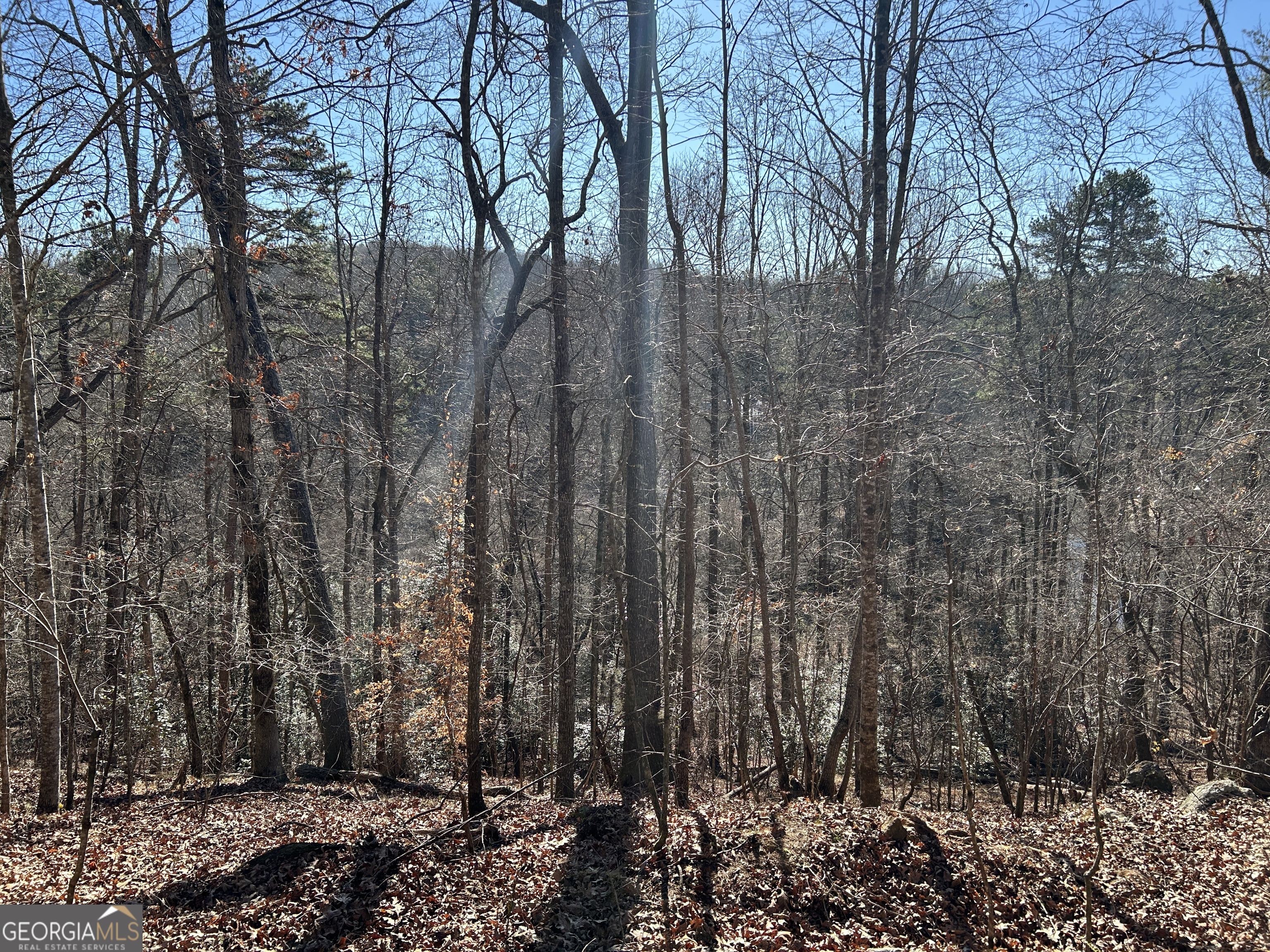 0 Twin River Orchard RD TRACT 1