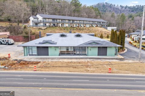 3 Dillard Sky LN Dillard GA 30537