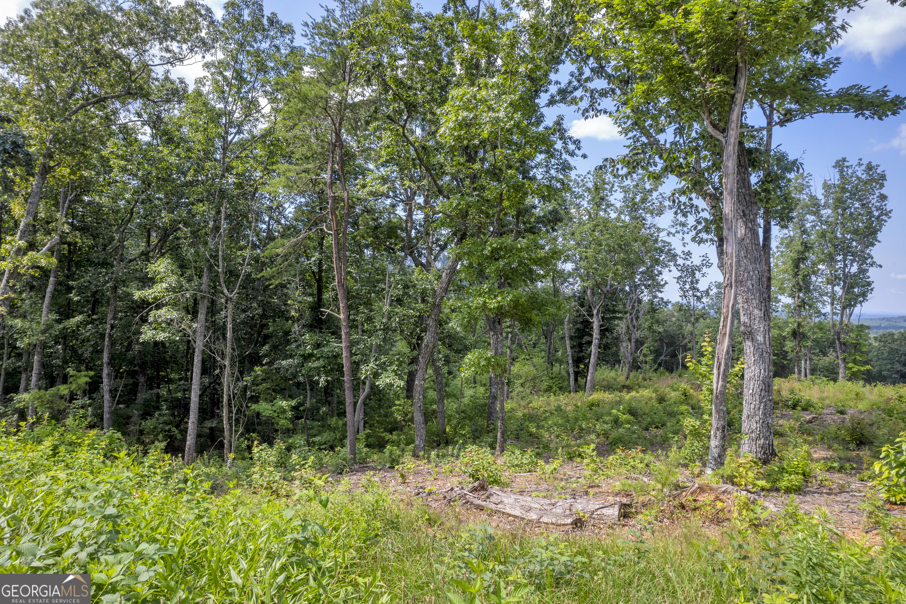 LOT 4 High Summit DR