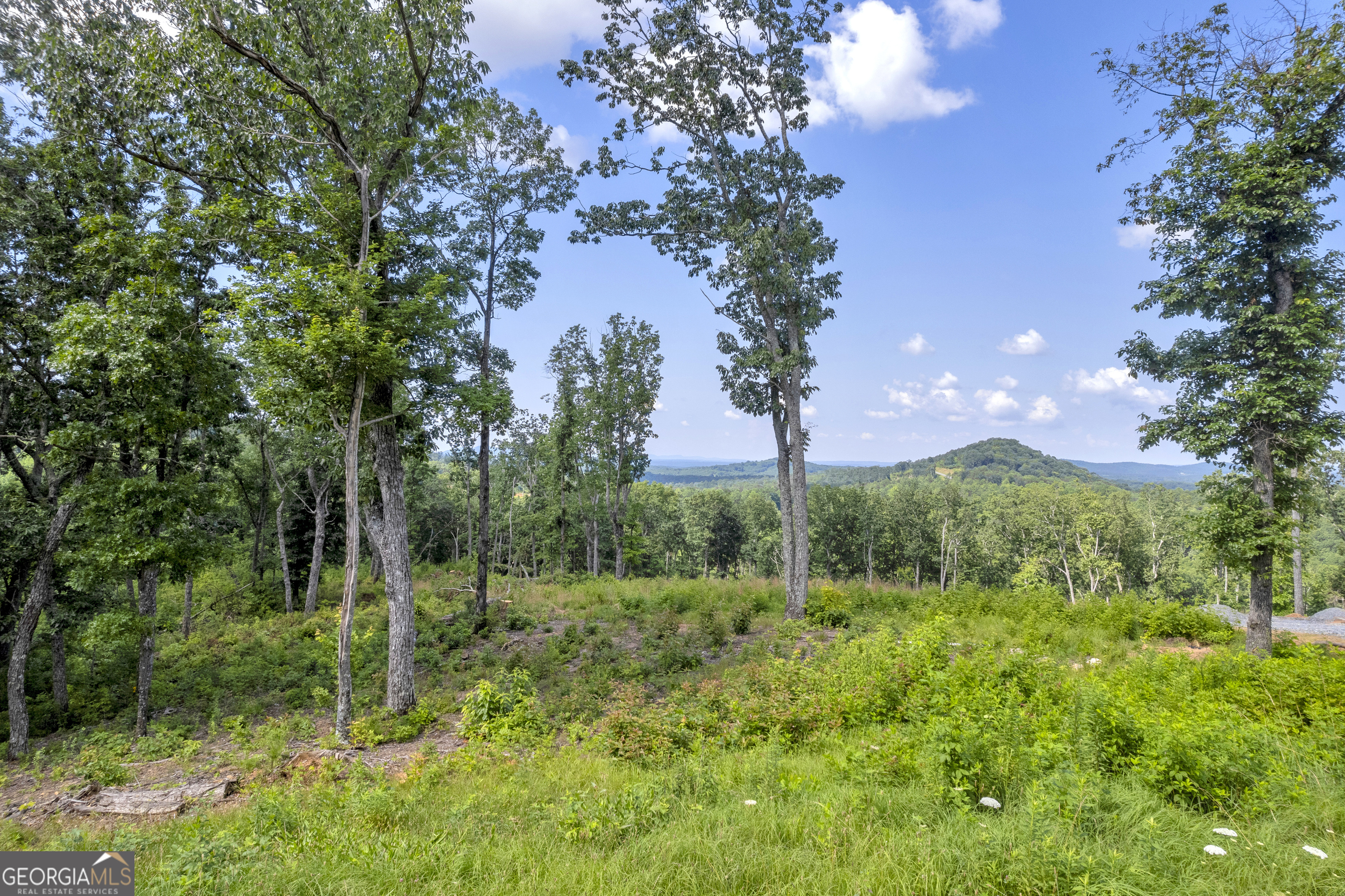 LOT 4 High Summit DR