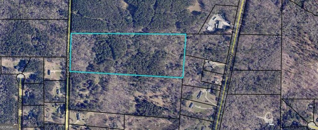 Photo of 444 Lillie Patrick, Gay, GA 30218 (MLS # 10683285)