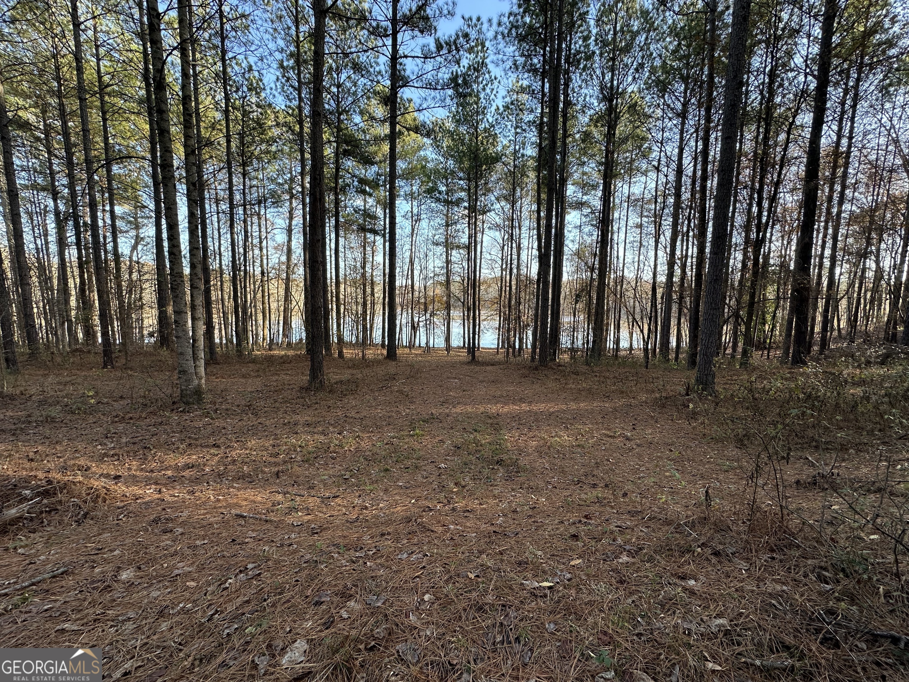 1708 Blue Creek RD