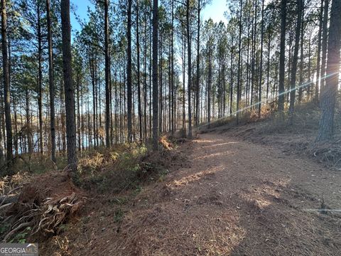 1708 Blue Creek RD Hogansville GA 30230