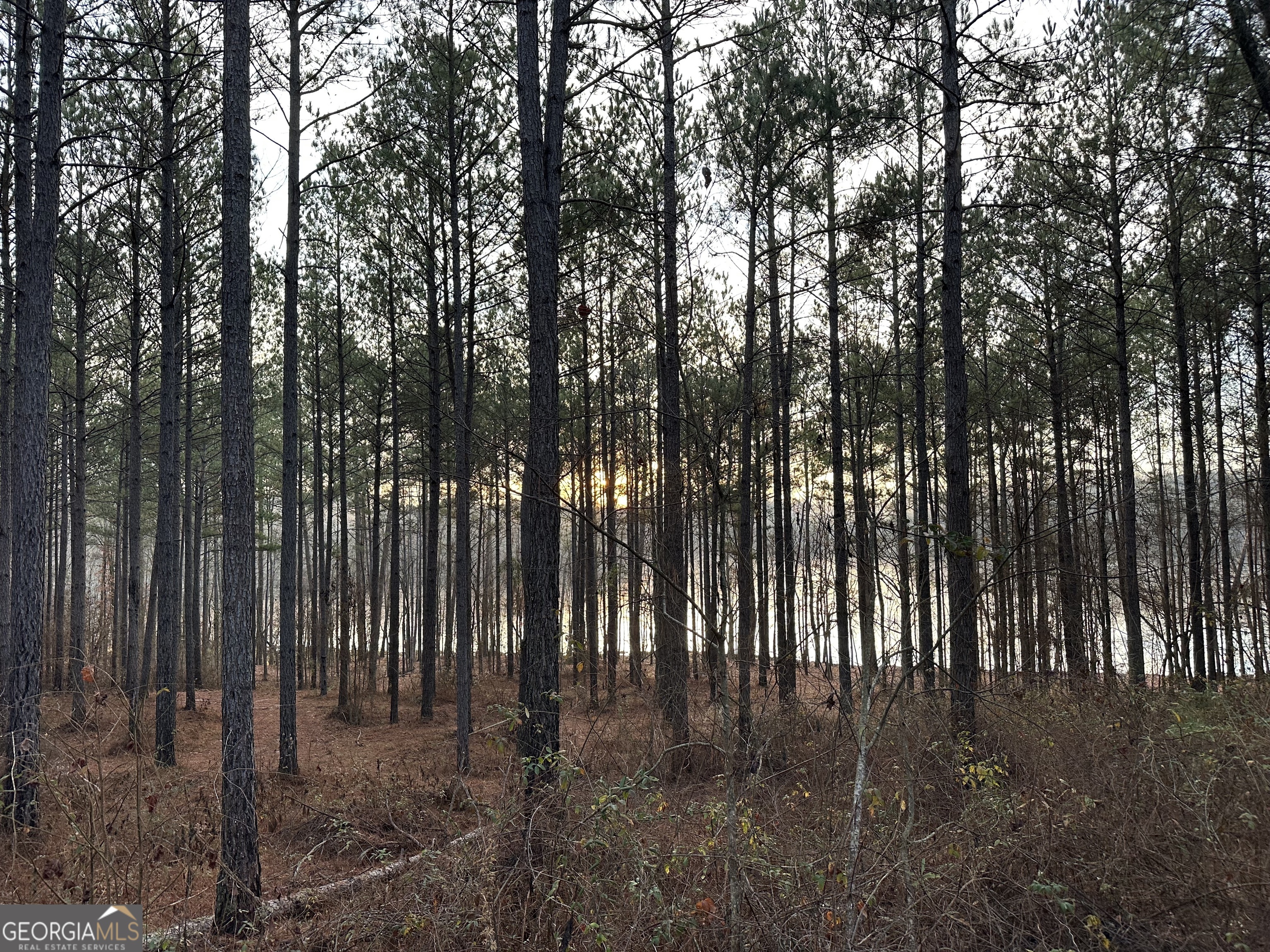 1708 Blue Creek RD