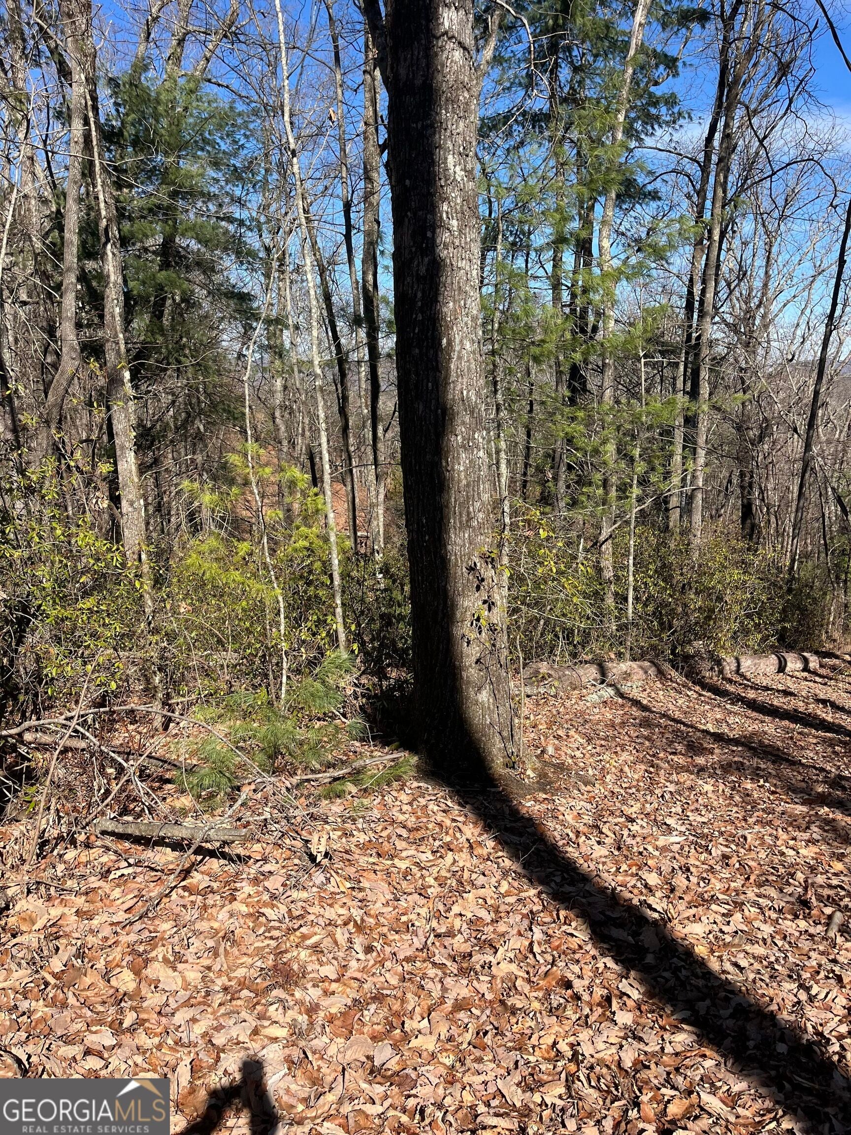 0 Eastman MTN RD