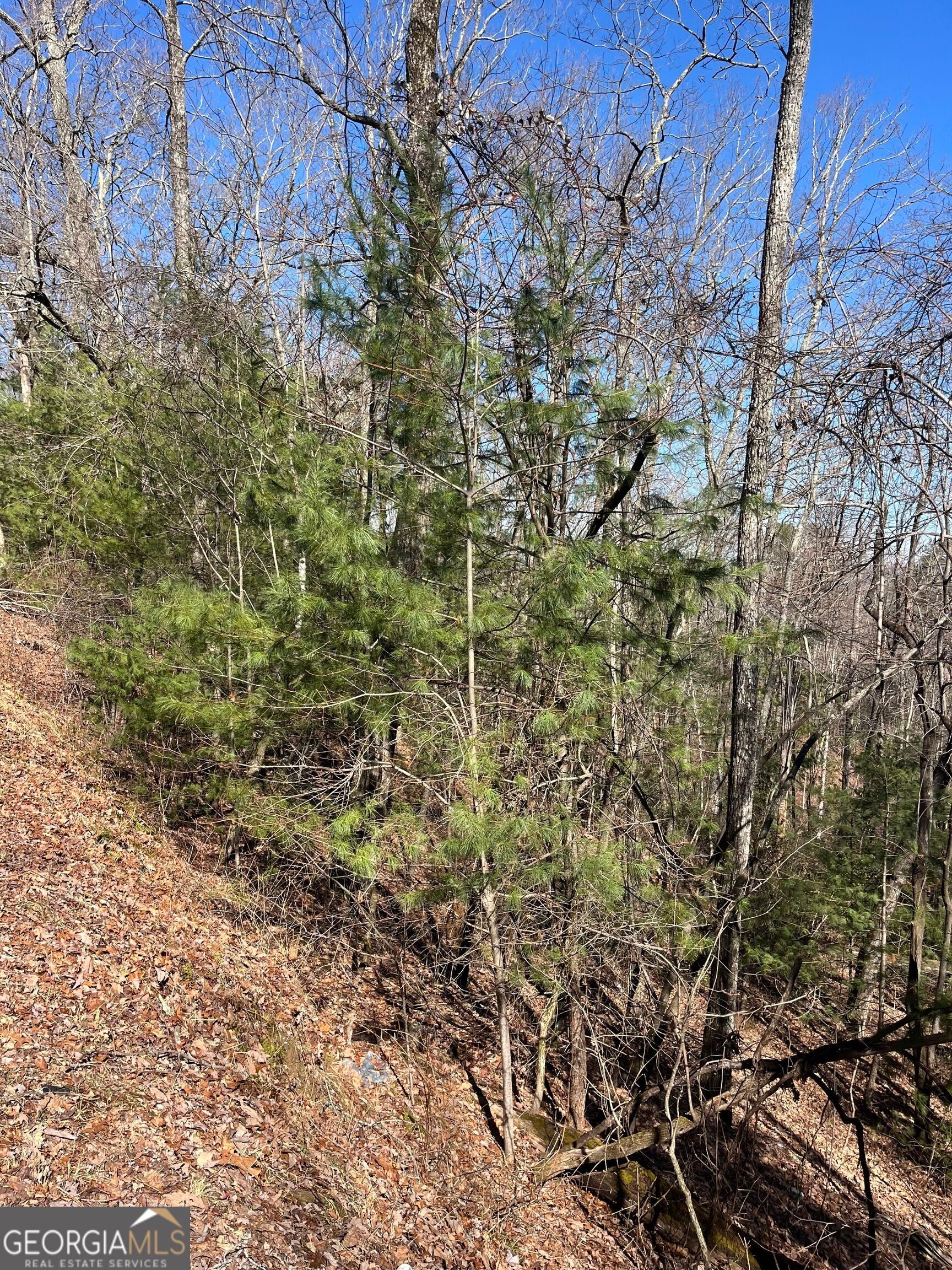 0 Eastman MTN RD