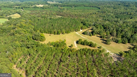 Photo of 161720 Livingston Rd SW, Rome, GA 30161 (MLS # 10850794)