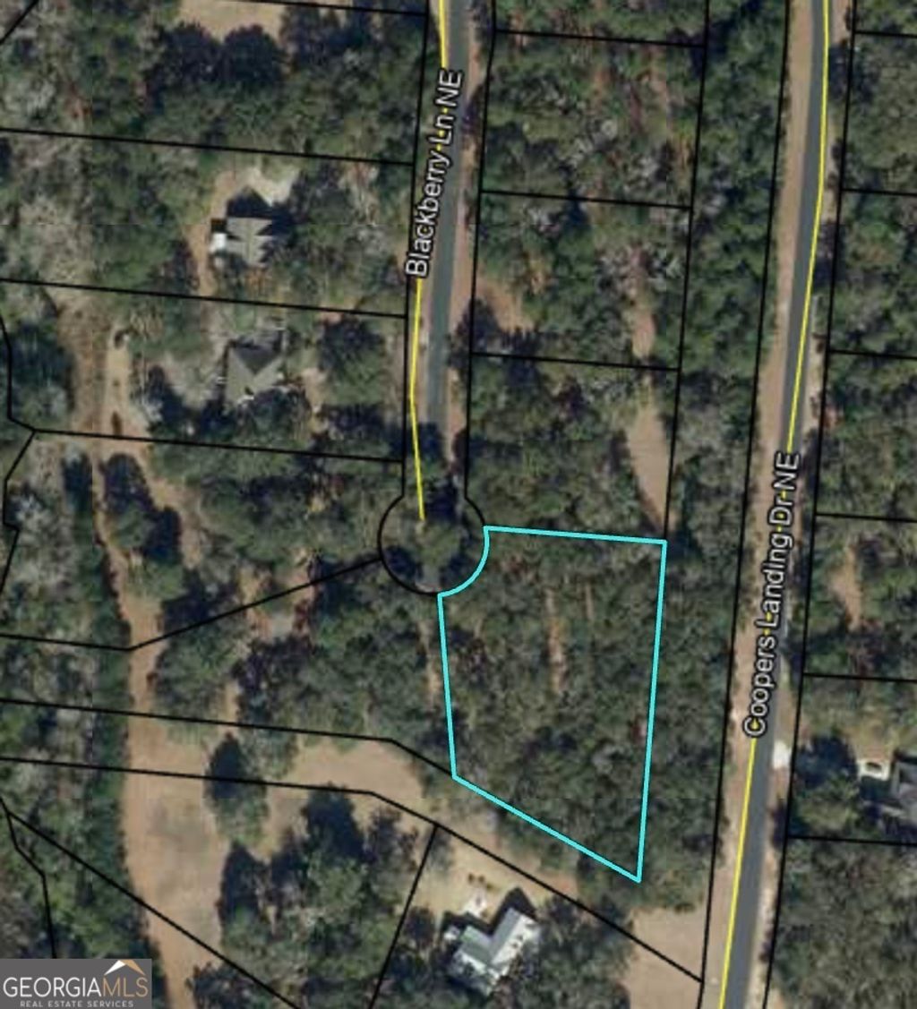 Photo of 0 Blakberry Lane NE, Townsend, GA 31331 (MLS # 10766325)