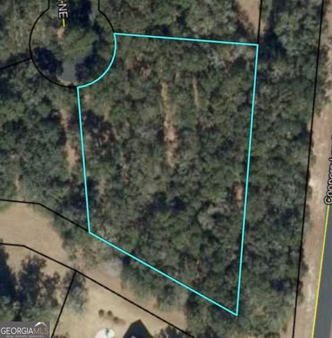 Photo of 0 Blakberry Lane NE, Townsend, GA 31331 (MLS # 10766325)