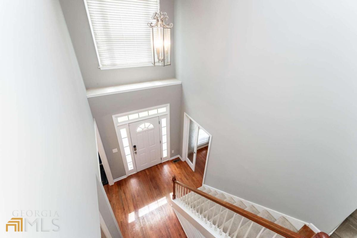 Willow Tree - Residential