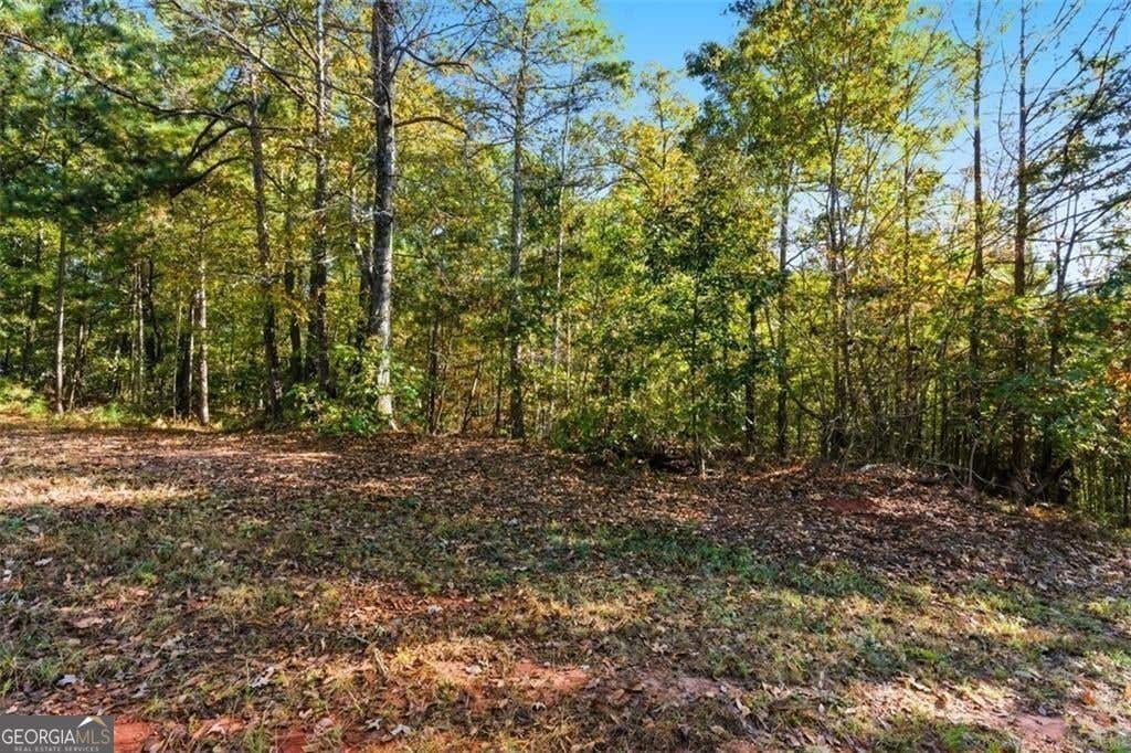 Photo of 7794 Gusty Trail, Douglasville, GA 30135 (MLS # 10822820)