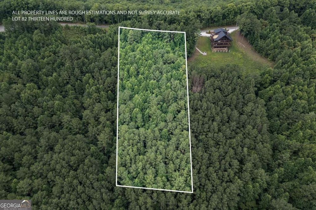 Photo of 82 Thirteen Hundred, Blairsville, GA 30512 (MLS # 10809948)