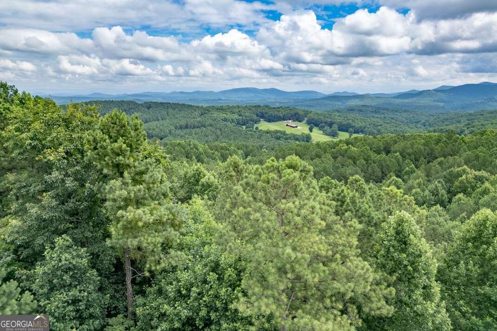 Photo of 82 Thirteen Hundred, Blairsville, GA 30512 (MLS # 10809948)