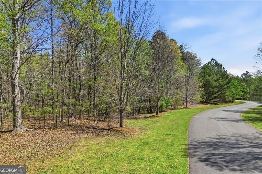 Photo of 133 Heritage Plantation Drive, Ball Ground, GA 30107 (MLS # 10732200)