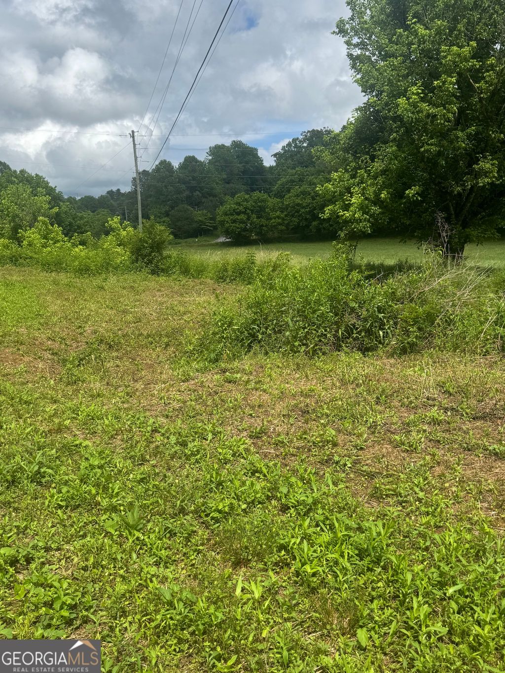 Photo of 00 Tails Creek Rd, Ellijay, GA 30540 (MLS # 10771288)