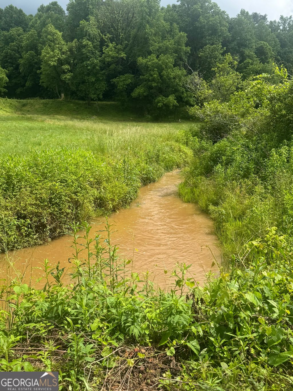 Photo of 00 Tails Creek Rd, Ellijay, GA 30540 (MLS # 10771288)