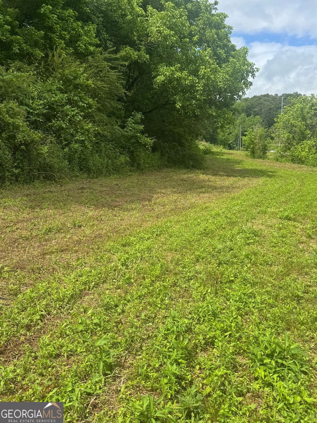 Photo of 00 Tails Creek Rd, Ellijay, GA 30540 (MLS # 10771288)