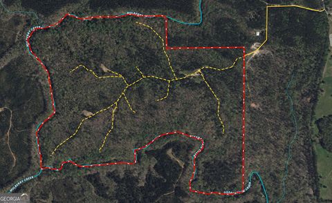 Photo of 22604 Kingsboro Road, Hamilton, GA 31811 (MLS # 10667389)