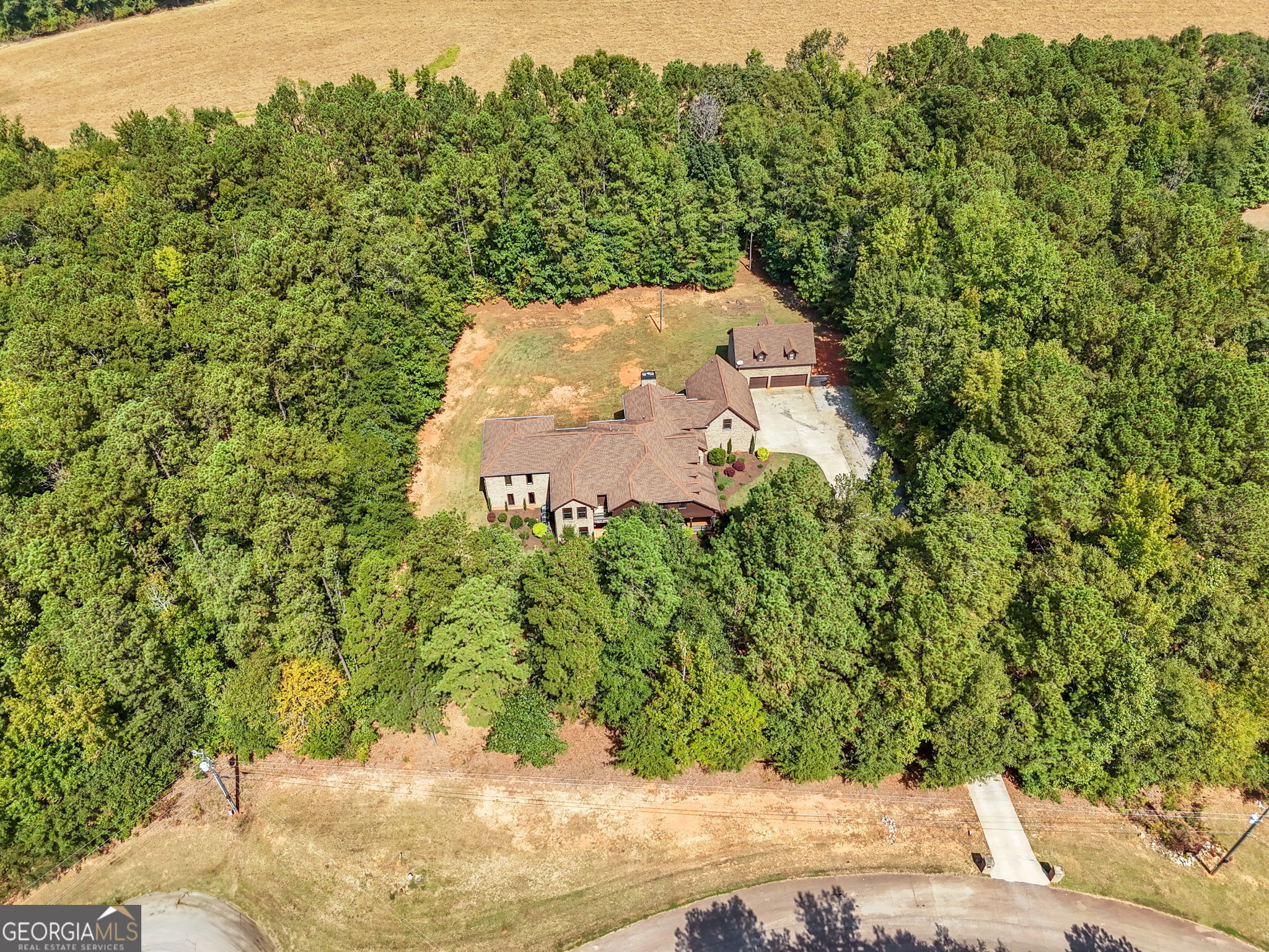 106 Big Buck CT