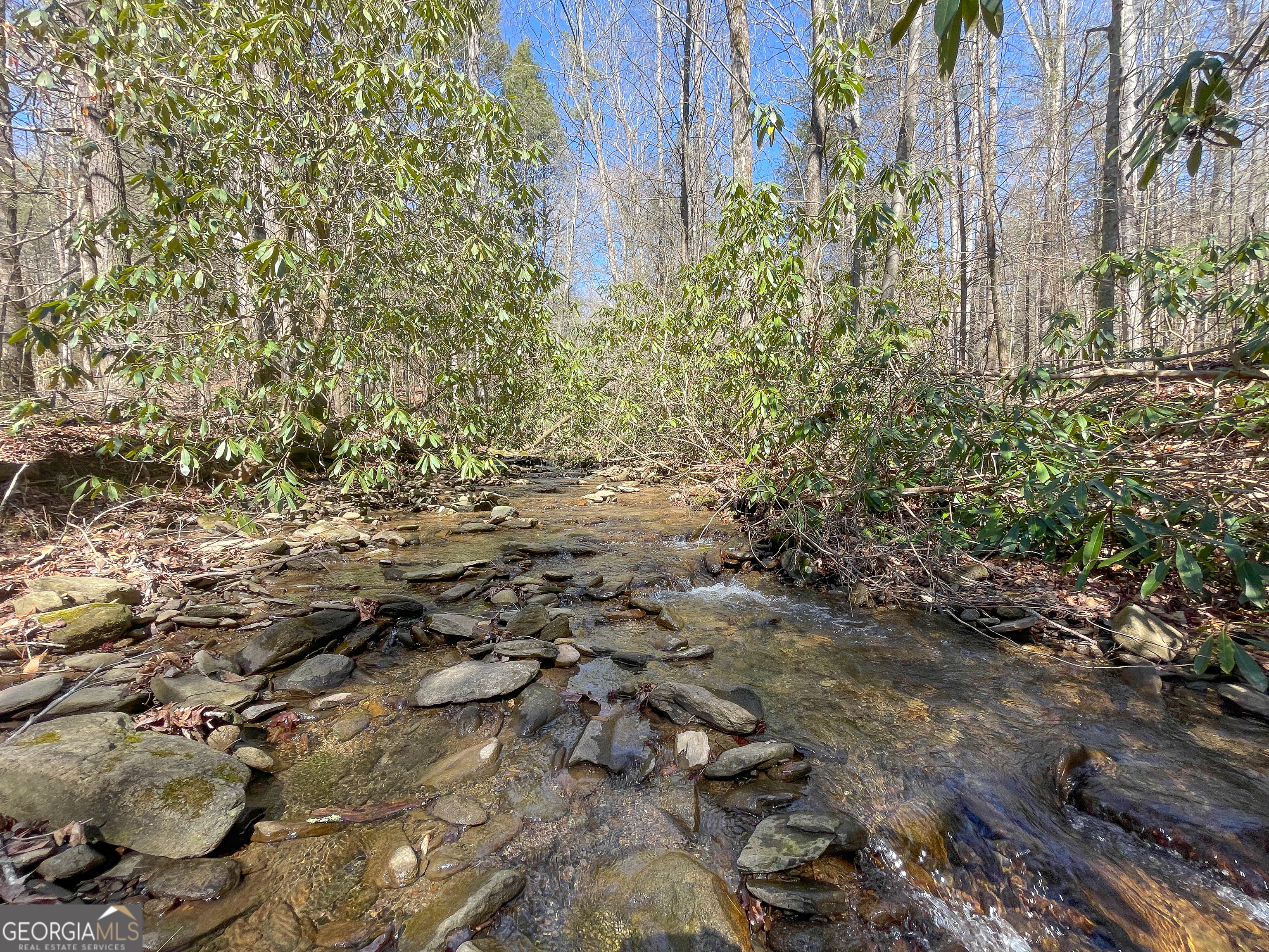 156 +/- Acres Off Peeples Lake RD