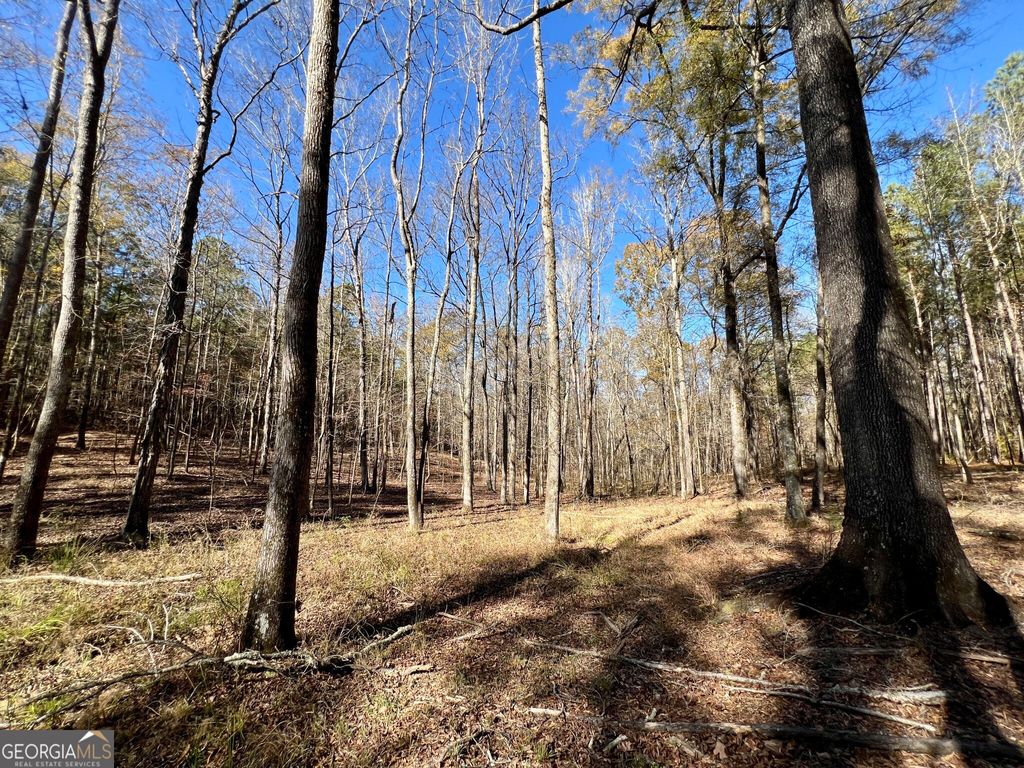 Photo of 0 St Marys Road, Crawfordville, GA 30631 (MLS # 10655492)