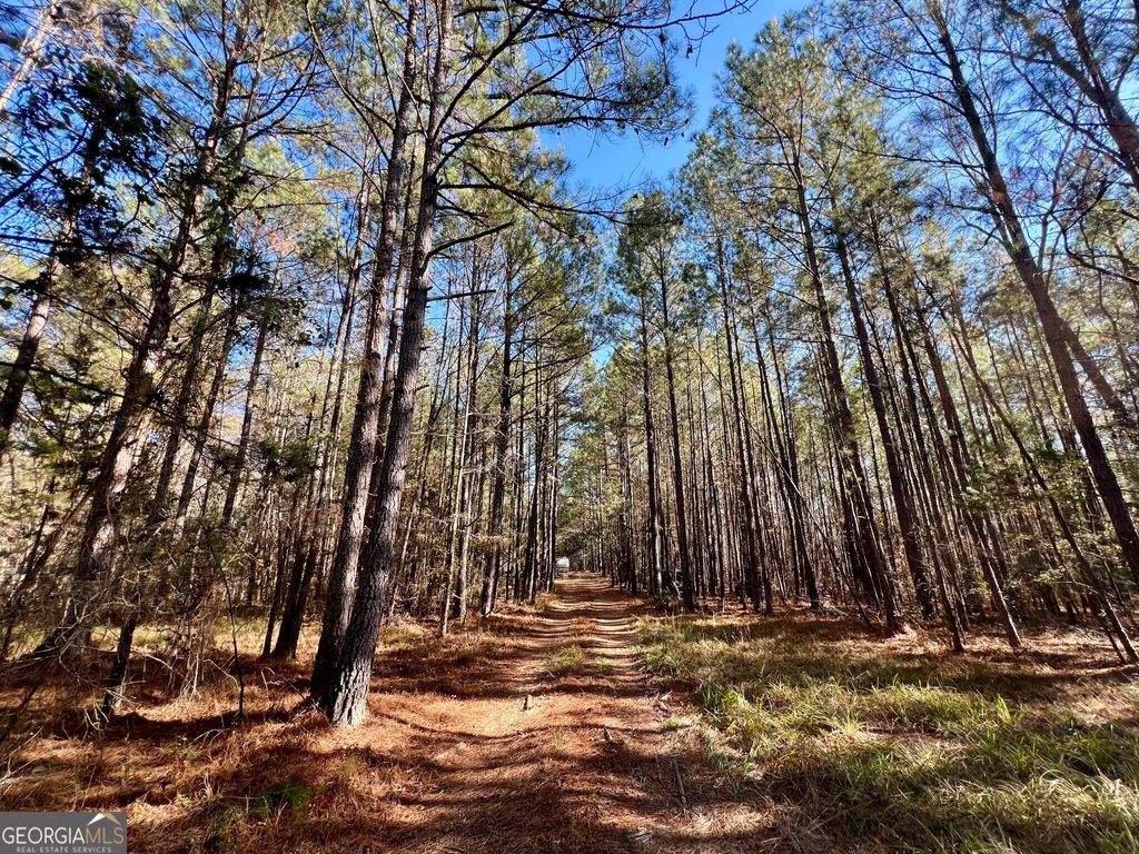 Photo of 0 St Marys Road, Crawfordville, GA 30631 (MLS # 10655492)